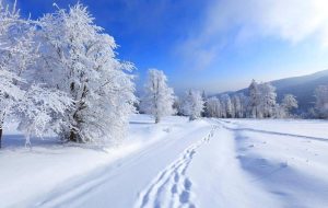 ورود سامانه پربارش به ایران ورود سامانه پربارش به ایران