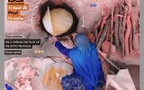 نمایشگاه عکس اسحاق آقایی در شیراز