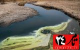 آلودگی منابع آب با افزایش کاربرد آفت کش ها سیر صعودی غلظت سم دلتامترین رودخانه بشار در تیرماه