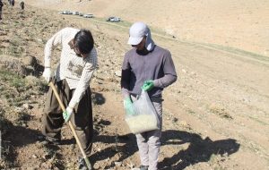 جنگلکاری در ۱۰۰هکتار از عرصههای طبیعی شهرستان کهگیلویه انجام شد جنگلکاری در ۱۰۰هکتار از عرصههای طبیعی شهرستان کهگیلویه انجام شد