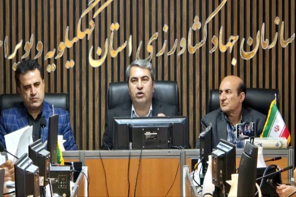جهش تولید کشاورزی در کهگیلویه و بویراحمد؛ از رکورد خرید گندم تا احیای واحدهای راکد