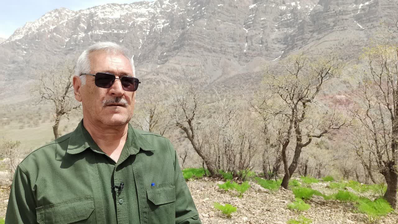 شناسایی 7 غار در مناطق حفاظت شده کهگیلویه وبویراحمد